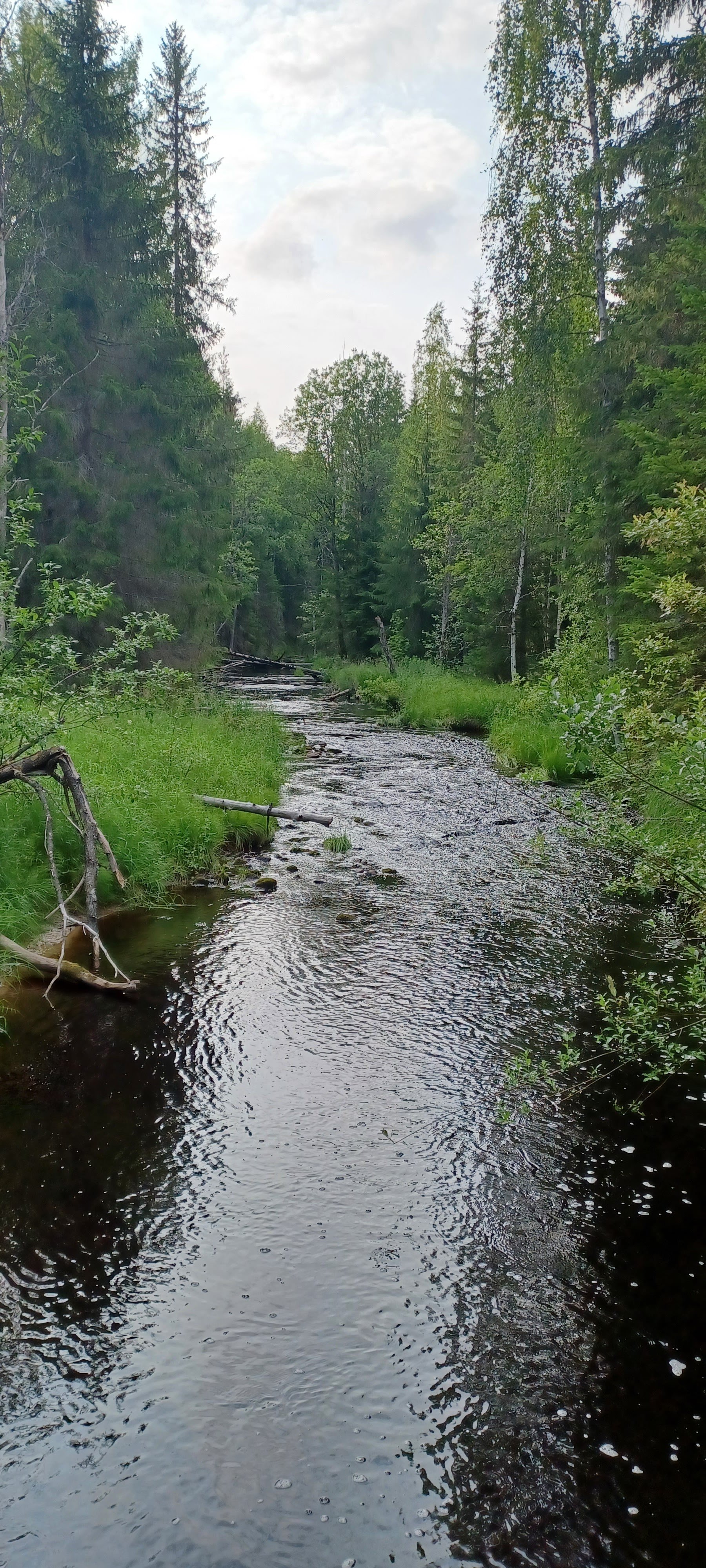 Hällämönharju Esker
